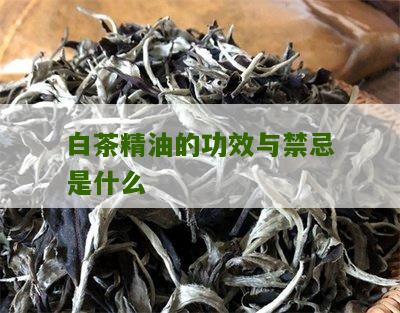 白茶精油的功效与禁忌是什么