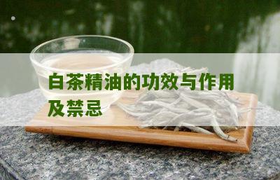 白茶精油的功效与作用及禁忌