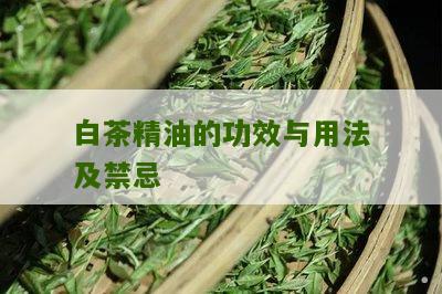 白茶精油的功效与用法及禁忌