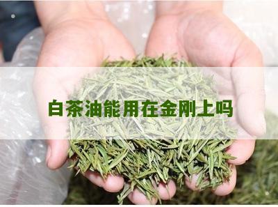 白茶油能用在金刚上吗