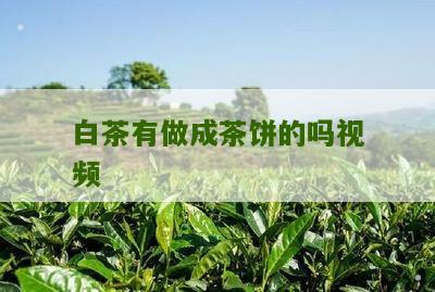 白茶有做成茶饼的吗视频