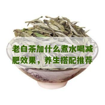 老白茶加什么煮水喝减肥效果，养生搭配推荐