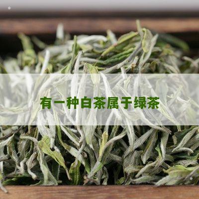 有一种白茶属于绿茶