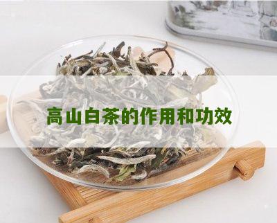 高山白茶的作用和功效