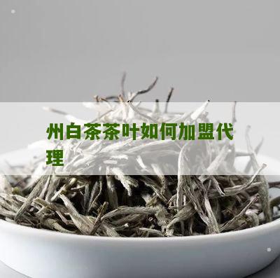 州白茶茶叶如何加盟代理