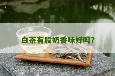 白茶有股奶香味好吗？