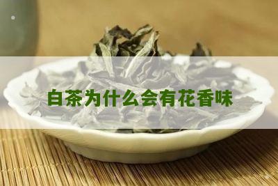 白茶为什么会有花香味