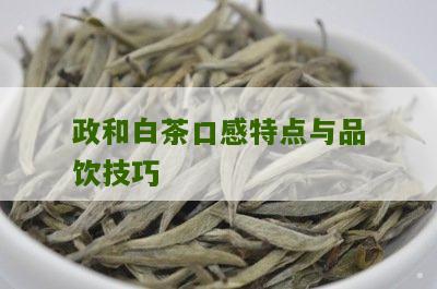 政和白茶口感特点与品饮技巧