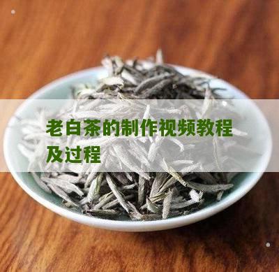 老白茶的制作视频教程及过程