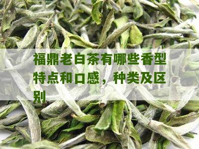 福鼎老白茶有哪些香型特点和口感，种类及区别