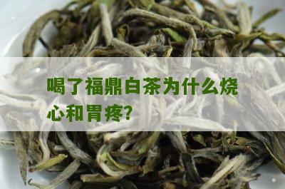 喝了福鼎白茶为什么烧心和胃疼？