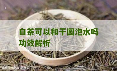 白茶可以和干圆泡水吗功效解析