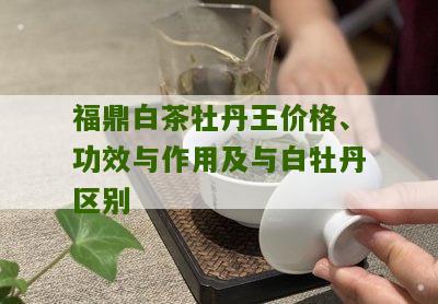 福鼎白茶牡丹王价格、功效与作用及与白牡丹区别