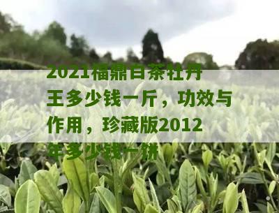 2021福鼎白茶牡丹王多少钱一斤，功效与作用，珍藏版2012年多少钱一饼