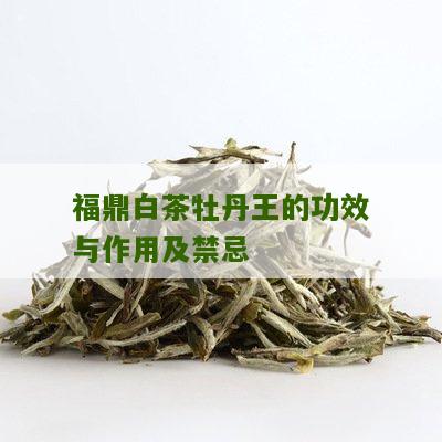 福鼎白茶牡丹王的功效与作用及禁忌