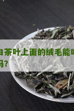 白茶叶上面的绒毛能吃吗？