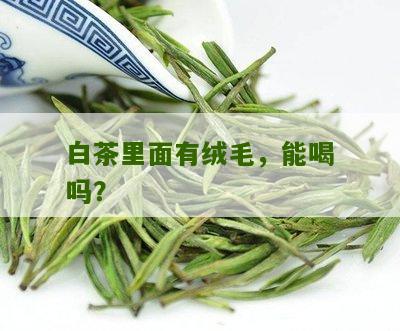 白茶里面有绒毛，能喝吗？