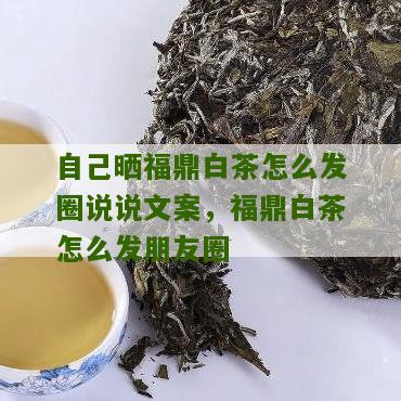 自己晒福鼎白茶怎么发圈说说文案，福鼎白茶怎么发朋友圈