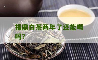 福鼎白茶两年了还能喝吗？