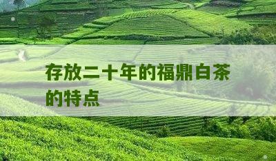 存放二十年的福鼎白茶的特点