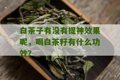 白茶子有没有提神效果呢，喝白茶籽有什么功效？