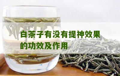 白茶子有没有提神效果的功效及作用