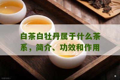 白茶白牡丹属于什么茶系，简介、功效和作用