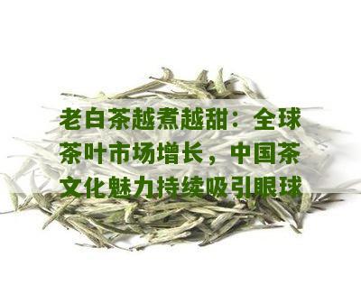 老白茶越煮越甜：全球茶叶市场增长，中国茶文化魅力持续吸引眼球