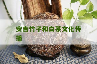 安吉竹子和白茶文化传播