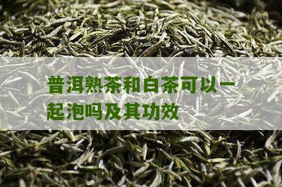 普洱熟茶和白茶可以一起泡吗及其功效