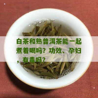 白茶和熟普洱茶能一起煮着喝吗？功效、孕妇，有毒吗？