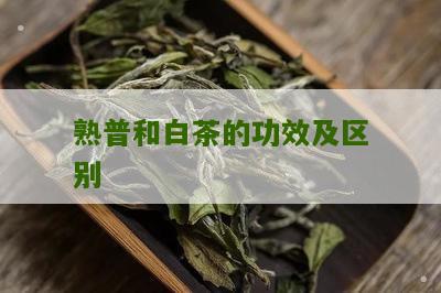 熟普和白茶的功效及区别