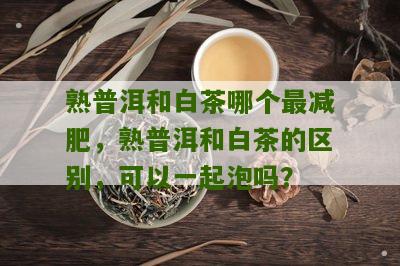 熟普洱和白茶哪个最减肥，熟普洱和白茶的区别，可以一起泡吗？