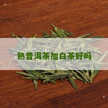 熟普洱茶加白茶好吗