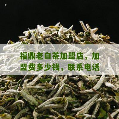 福鼎老白茶加盟店，加盟费多少钱，联系电话