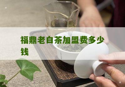 福鼎老白茶加盟费多少钱