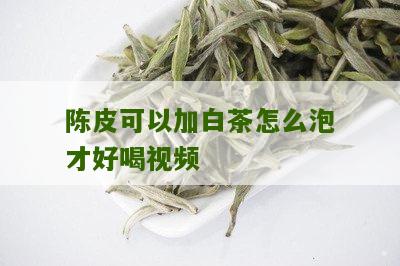 陈皮可以加白茶怎么泡才好喝视频