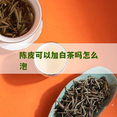 陈皮可以加白茶吗怎么泡