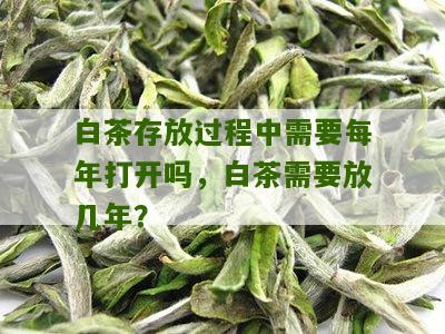 白茶存放过程中需要每年打开吗，白茶需要放几年？