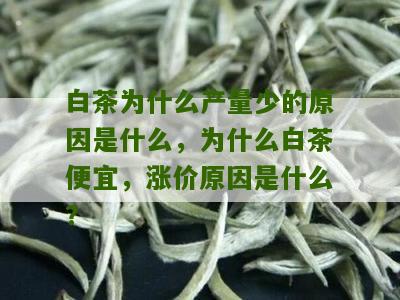 白茶为什么产量少的原因是什么，为什么白茶便宜，涨价原因是什么？