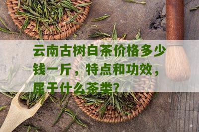 云南古树白茶价格多少钱一斤，特点和功效，属于什么茶类？