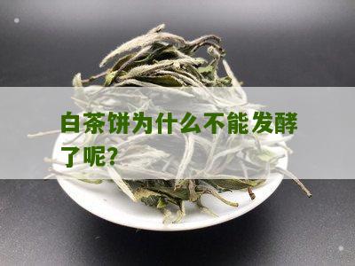 白茶饼为什么不能发酵了呢？