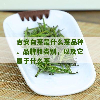 吉安白茶是什么茶品种、品牌和类别，以及它属于什么茶