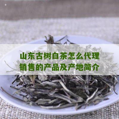 山东古树白茶怎么代理销售的产品及产地简介