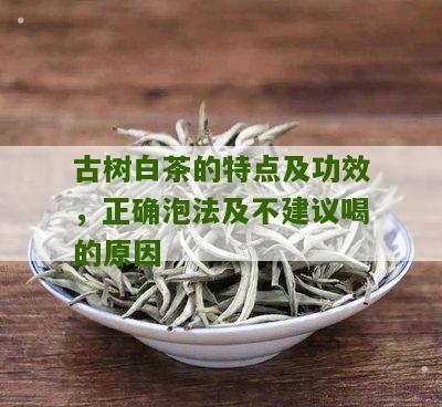 古树白茶的特点及功效，正确泡法及不建议喝的原因