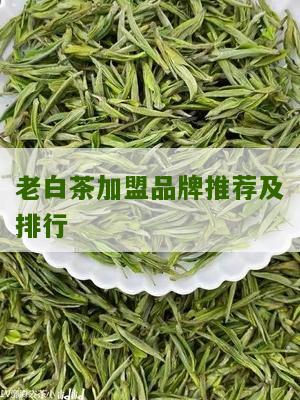 老白茶加盟品牌推荐及排行