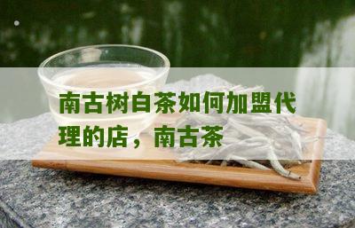 南古树白茶如何加盟代理的店，南古茶