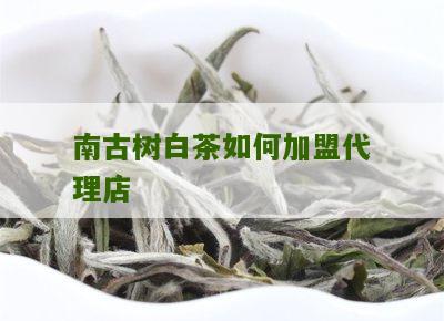 南古树白茶如何加盟代理店