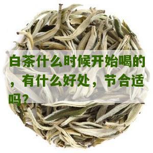 白茶什么时候开始喝的，有什么好处，节合适吗？