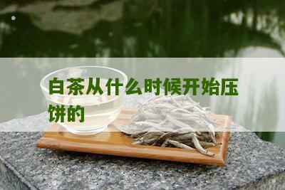 白茶从什么时候开始压饼的